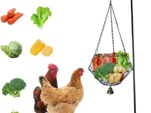 hanging chicken feeding station, veggie treat ball boredom toys for chicken/hens/ducks/quails/parrots