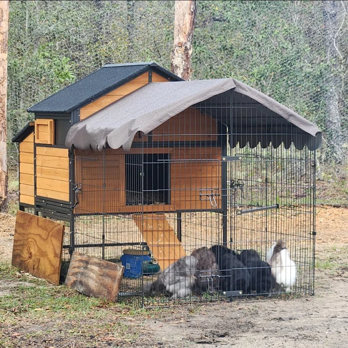 automatic door mobile chicken coop large all steel frame hen house