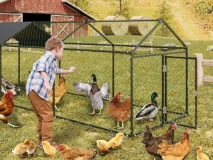 large metal chicken coop, chicken run with cover