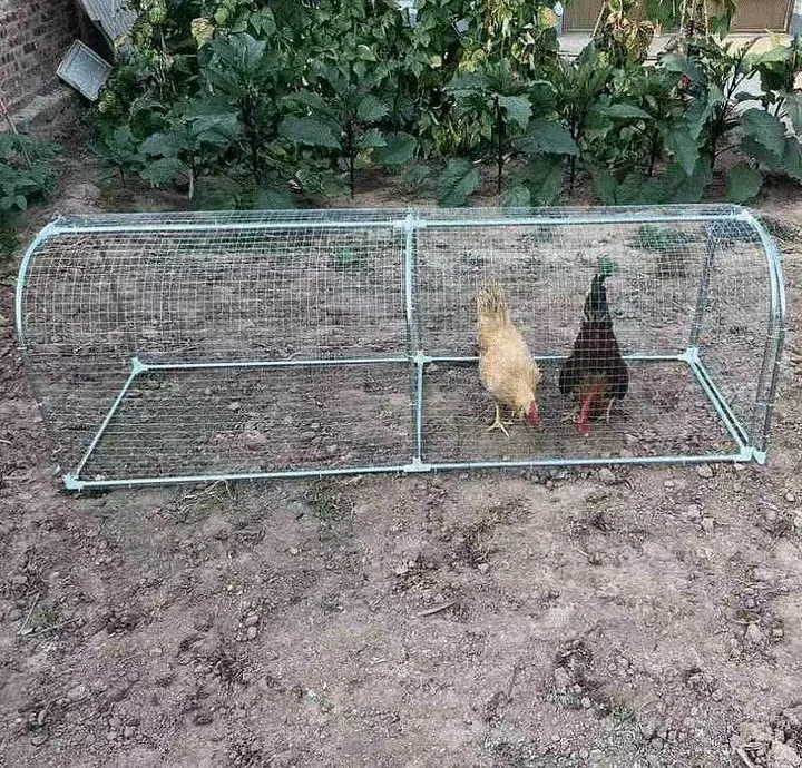 chicken coop combo kit, spliced chicken tunnels run chicken coop combo kit, spliced chicken tunnels run