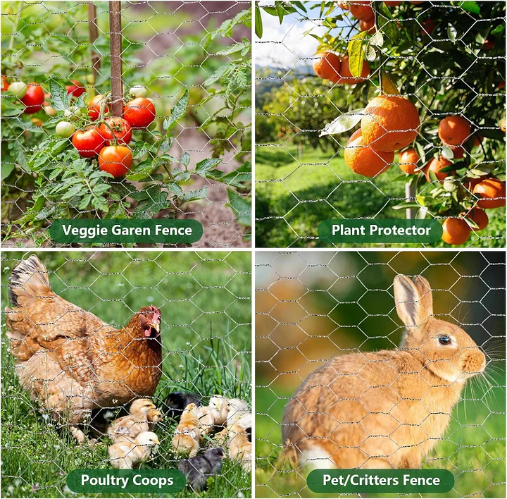 diy chicken wire fencing, poultry garden fencing barrier diy chicken wire fencing, poultry garden fencing barrier