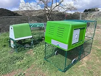 mobile chicken coop run with for 2 10 large hens house mobile chicken coop run with for 2 10 large hens house