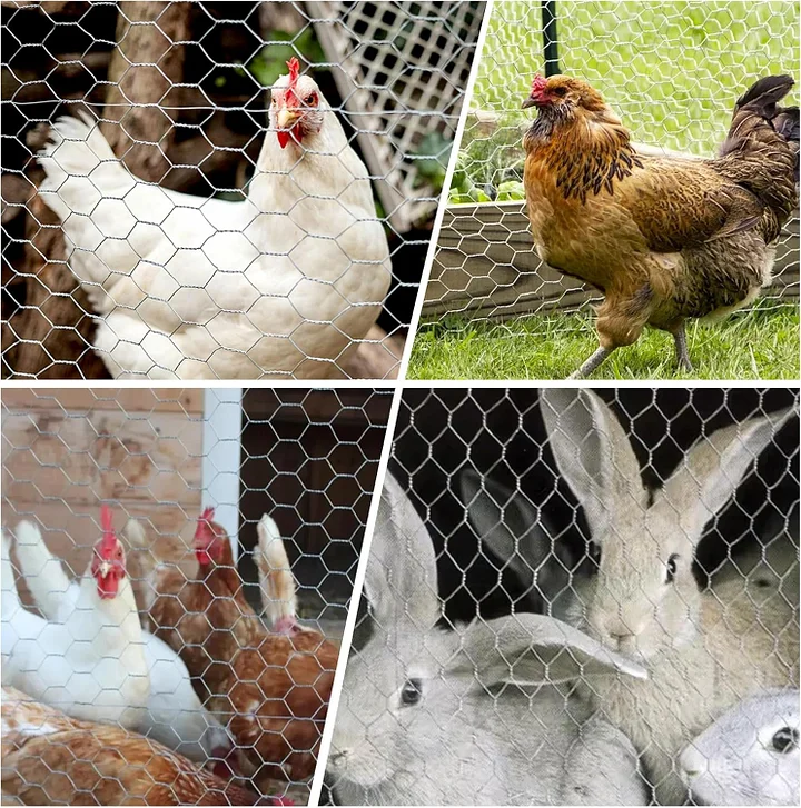 diy chicken wire fencing, poultry garden fencing barrier diy chicken wire fencing, poultry garden fencing barrier