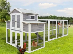 150" large chicken coop for 6 10 chickens $116.75