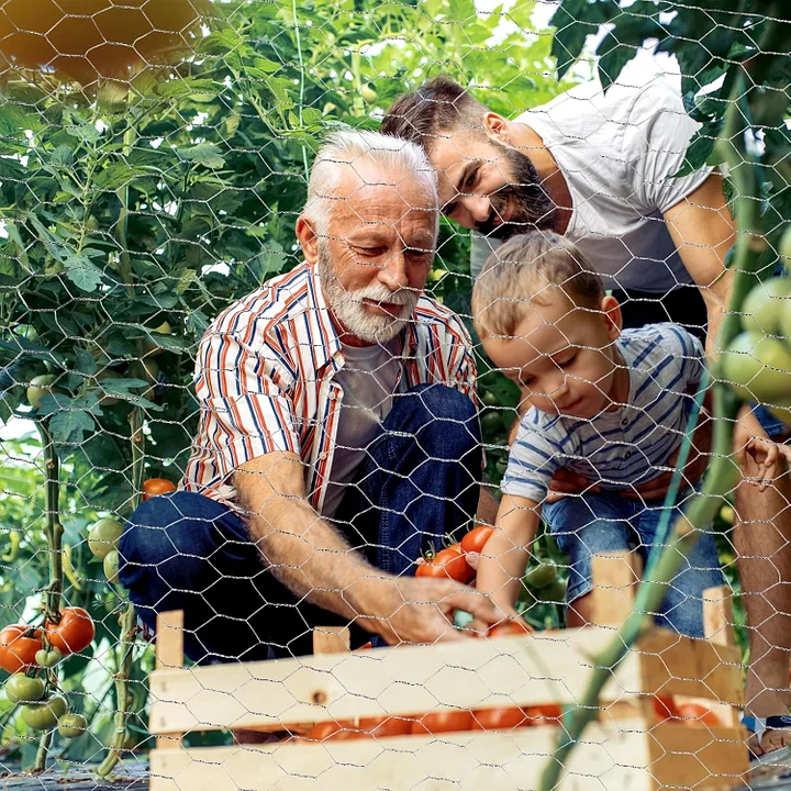 diy chicken wire fencing, poultry garden fencing barrier diy chicken wire fencing, poultry garden fencing barrier