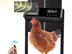 automatic chicken coop door