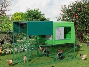 mobile chicken coop run with for 2 10 large hens house