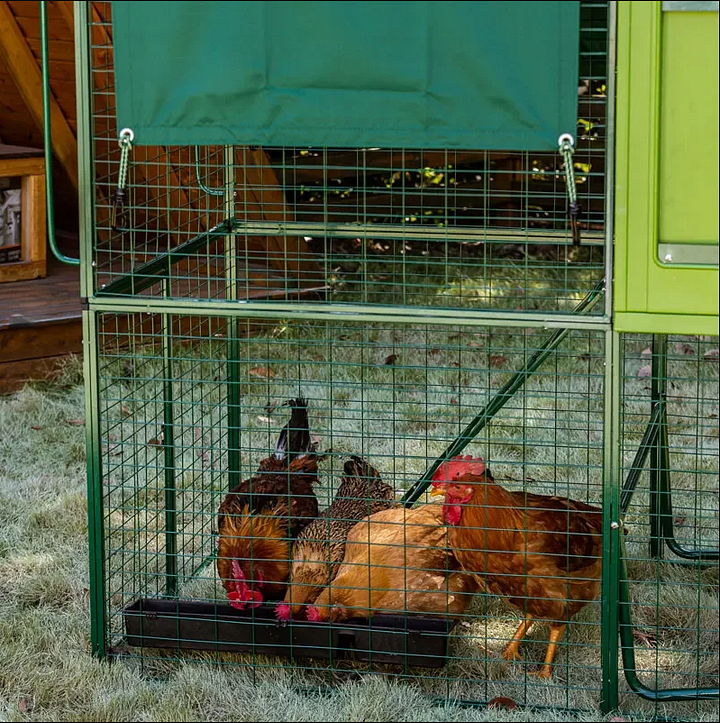 mobile chicken coop run with for 2 10 large hens house mobile chicken coop run with for 2 10 large hens house