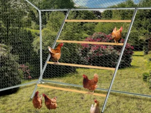 chicken coop roosting perch essentials:perfect for backyard poultry, easy installation &,farm roost toys for chickens