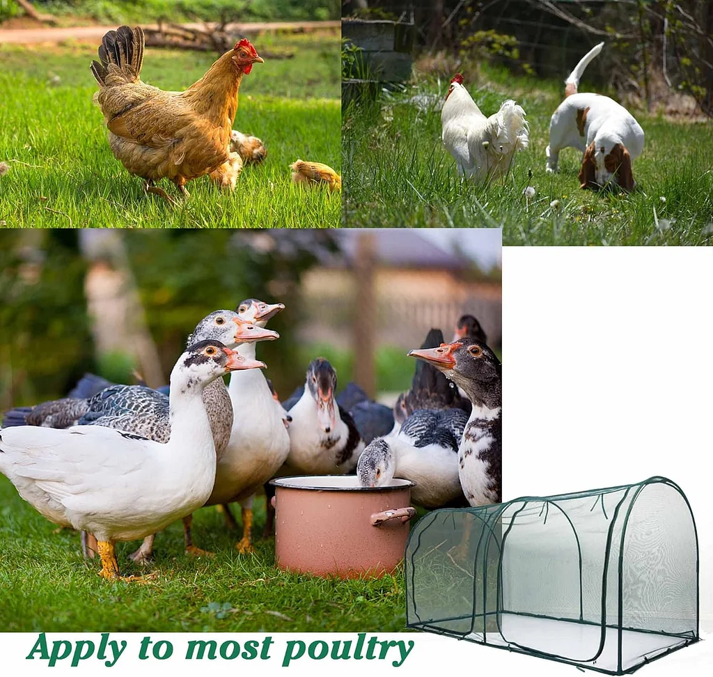 portable chicken run hen coop,walk in poultry house, 10 stakes in backyard and farm portable chicken run hen coop,walk in poultry house, 10 stakes in backyard and farm